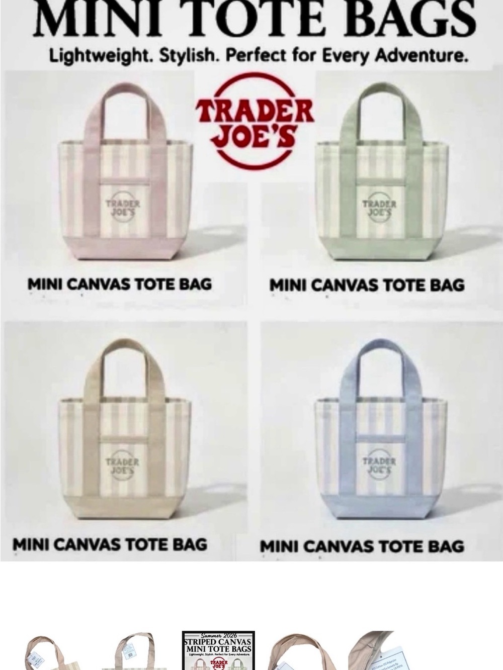 Trader Joe's Mini Canvas Tote Bag - Blue Stripe